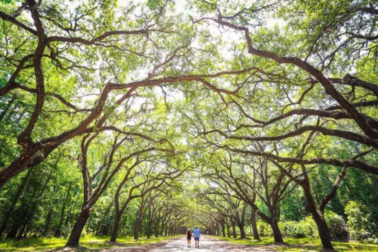 Wormsloe