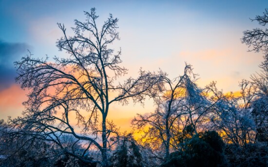 Ice covered trees against a sunrise at Number One access point.
