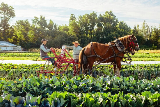 In the Walla Walla Valley, agriculture is rooted in the land, shaped by generations