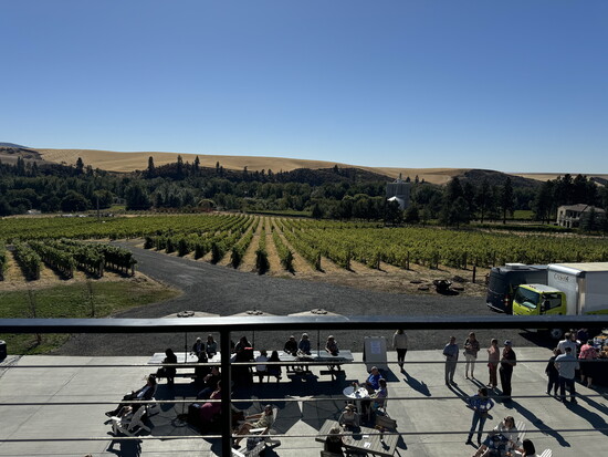 Harvest season draws together growers, winemakers, visitors, and longtime locals across the valley