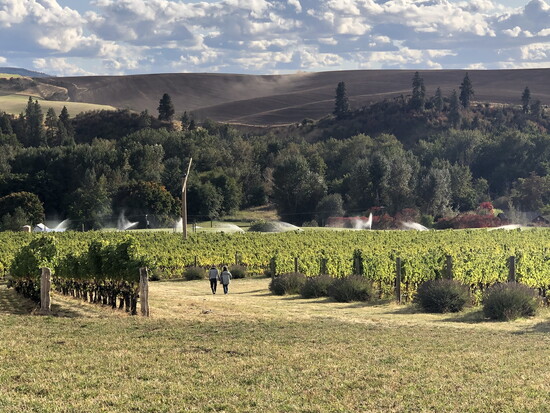 Two figures disappear into the vineyards beneath the rolling hills of Walla Walla Valley, where farming, landscape, and wine remain deeply connected.
