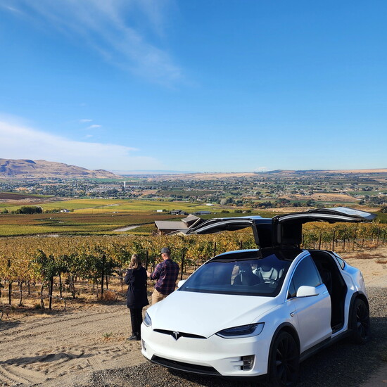 Tesla Wine Tours.