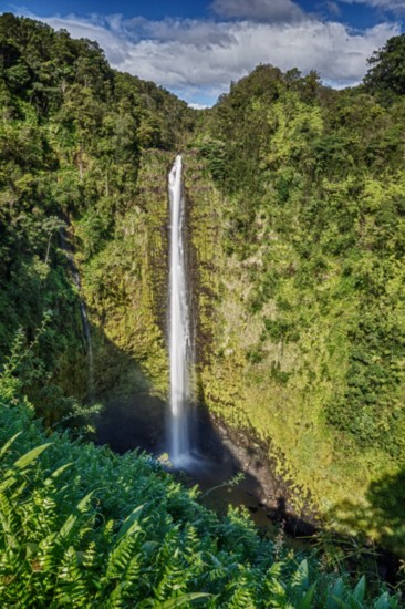 Akaka Falls 