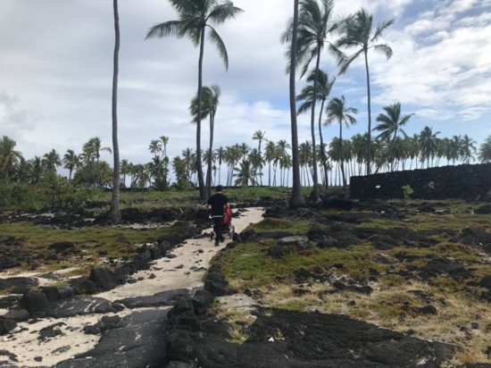 Pu'uhonua O Honaunau 