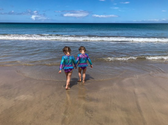 Hapuna Beach State Park