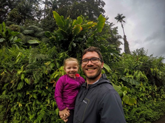 Taken at Akaka Falls State Park 