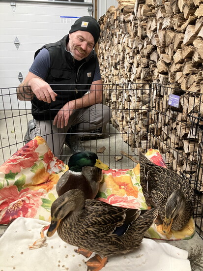 Jimmy Longbottom invests his time in rescuing waterfowl.