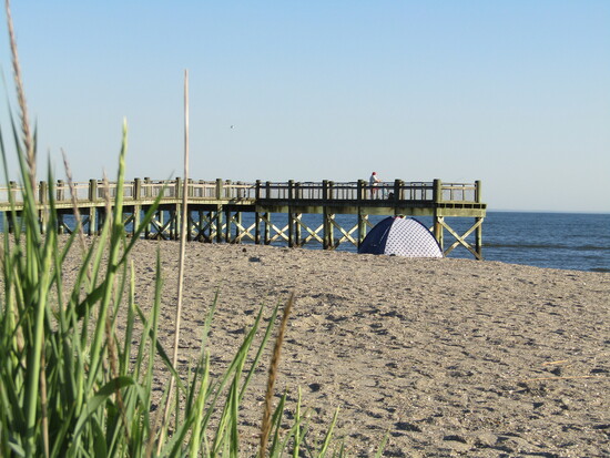 Gulf Beach