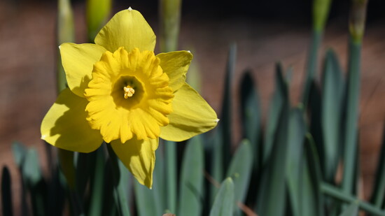 Photo by Becca McCoy