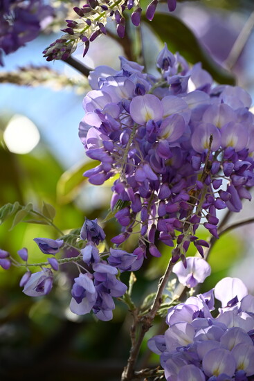 Photo by Becca McCoy