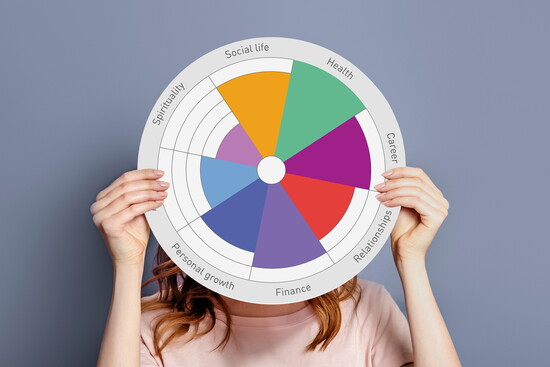 The Wellness Wheel is a tool and visual representation that assesses one's sense of wellbeing.