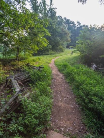 Kennesaw Mountain Trail