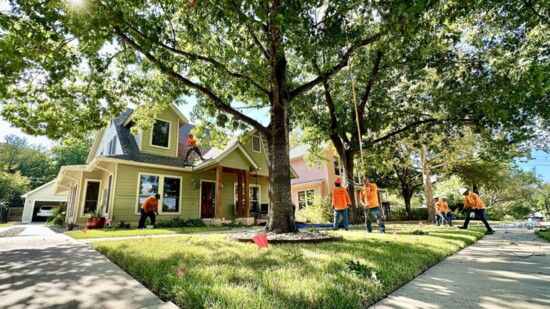 Credit: Good Guys Tree Service
