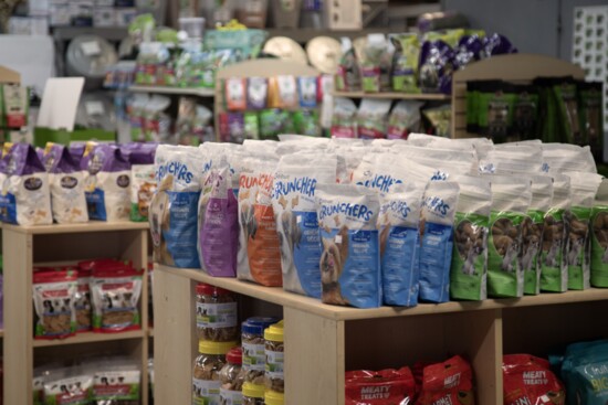 the best pet food brands 