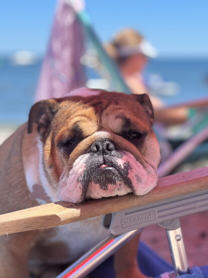 September Siricio's dog Millie. 