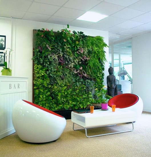 Indoor Living Green Wall