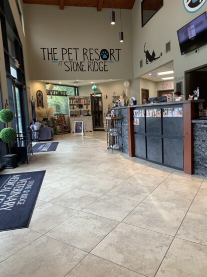 A view from the lobby of Stone Ridge Veterinary Medical Center & Pet Resort in Conroe.
