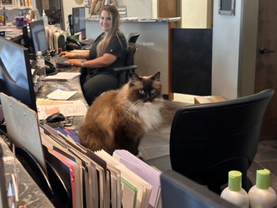 The reception desk is pet friendly. 