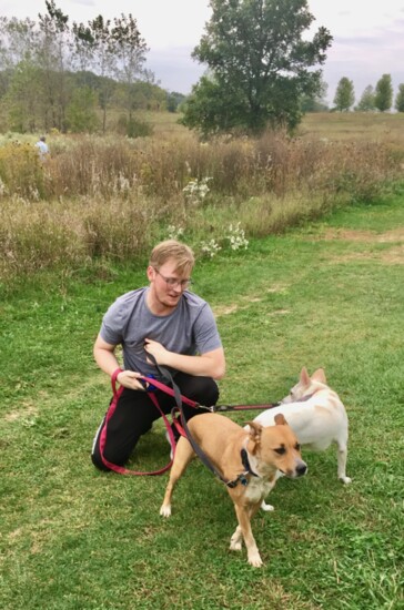 Lakewood Dog Park in Wauconda.