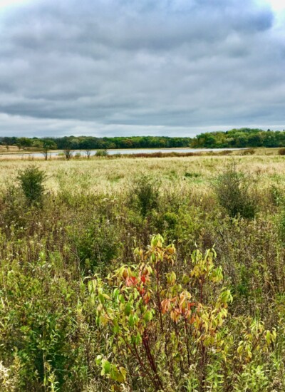 Hiking and biking trails abound amongst the natural beauty of Moraine Hills.