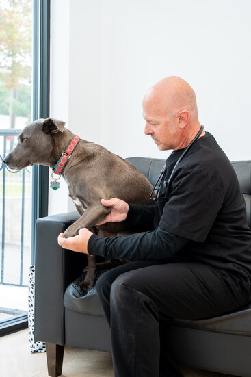 Dr. Chapnick and Izzy. Photo by TK.