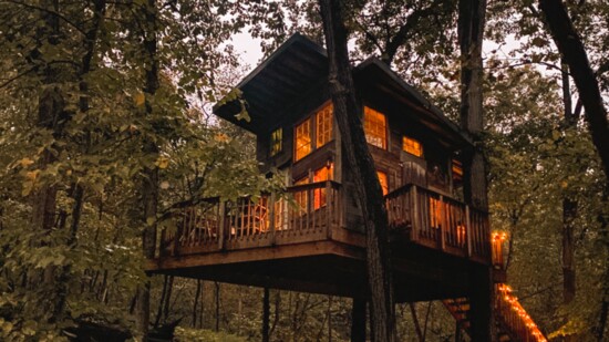 Find Tranquility Glamping In The Treetops