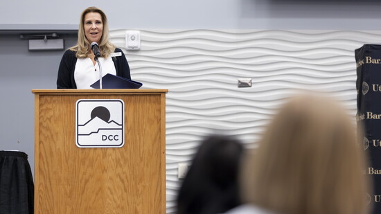 Christine presenting at a Utah State Bar Event