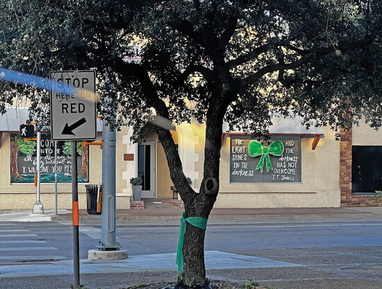 Image Courtesy of Debbie Warner