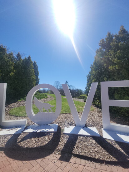 Love sign in Abingdon. Photo Credit: Trevor Joppich