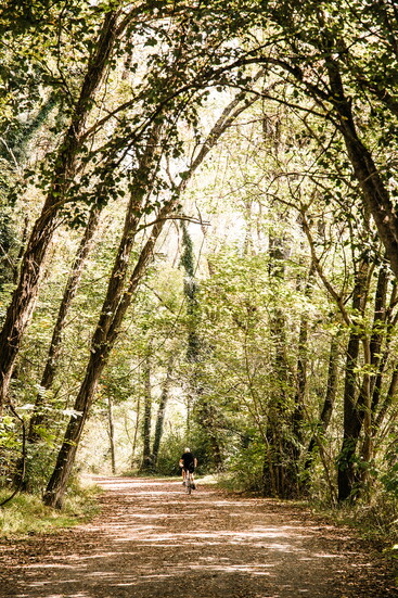 Virginia Creeper Trail. Photo Credit: Visit Abingdon