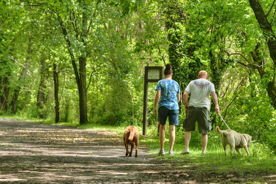 Virginia Creeper Trail. Photo Credit: Visit Abingdon