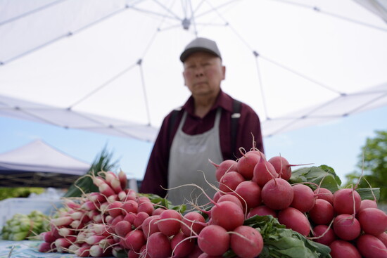 Moua Family Farm at the Hilldale Market.