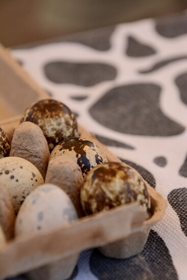Farmer Johns' Cheese - duck eggs at the Hilldale Market.