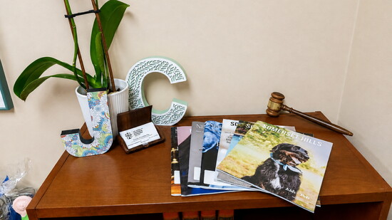 Featured image for Where Compassion Meets Counsel
