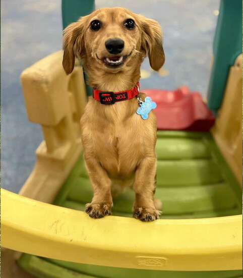 All smiles for this happy camper.