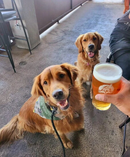 Lone Wolf Brewing Co.