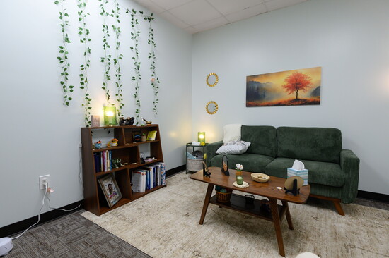 A Therapy Office