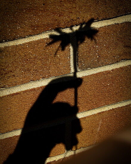 Photo by Wayne Valley Student Elena Rua