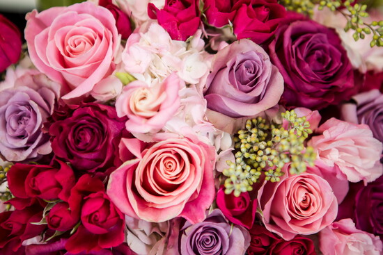 Everything's in bloom at Toca Florals.