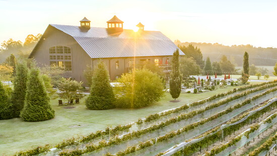 Southwest Mountain Vineyards. Photo credit: Southwest Mountain Vineyards 