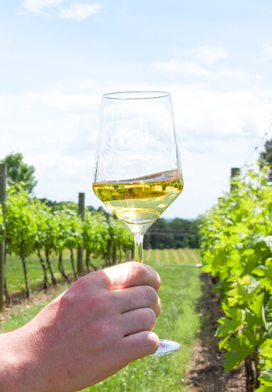 Wine in the vineyard. Photo credit: Jen Fariello