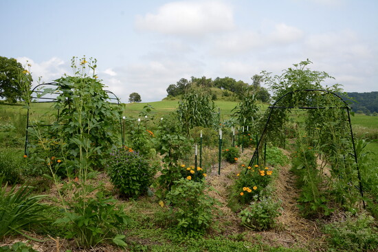 Photo 16 of 20