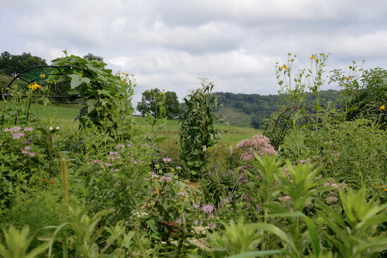 Photo 17 of 20