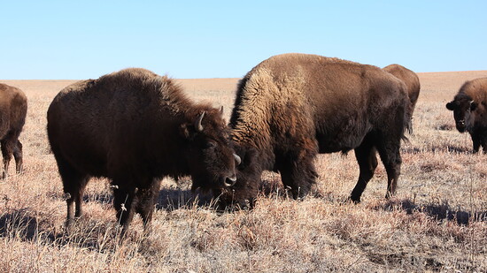 Photo courtesy of the National Park Service