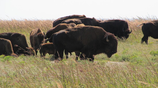 Photo courtesy of the National Park Service