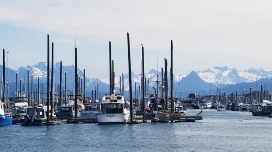 The Harbor view at Homer Alaska.