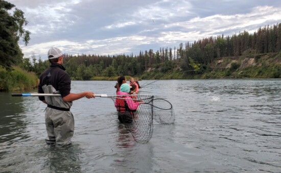 When the fish are running even the kids can experience catching a salmon.