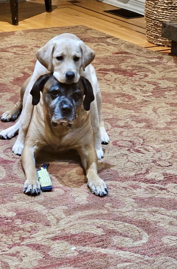 Roxy's eyes say it all. 
