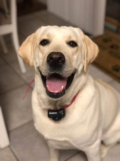 SOPHIE