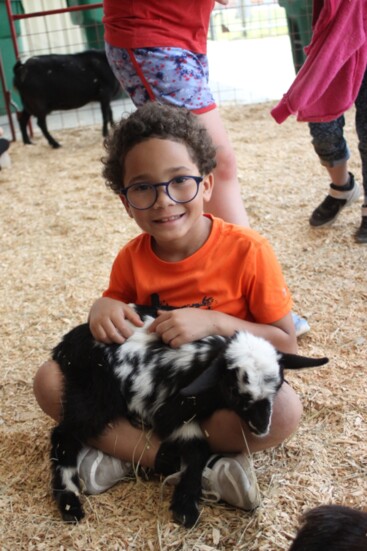 Kids petting zoo 